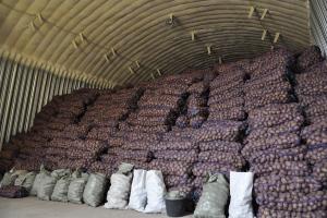 Detailed business plan for potato production for implementation