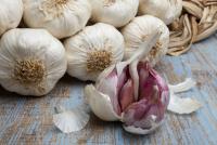 Garlic cultivation garlic care