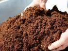 Humus or manure as a fertilizer which is better