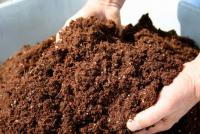 Humus or manure as a fertilizer which is better