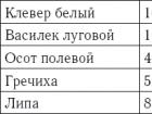 Календар цвітіння садових рослин